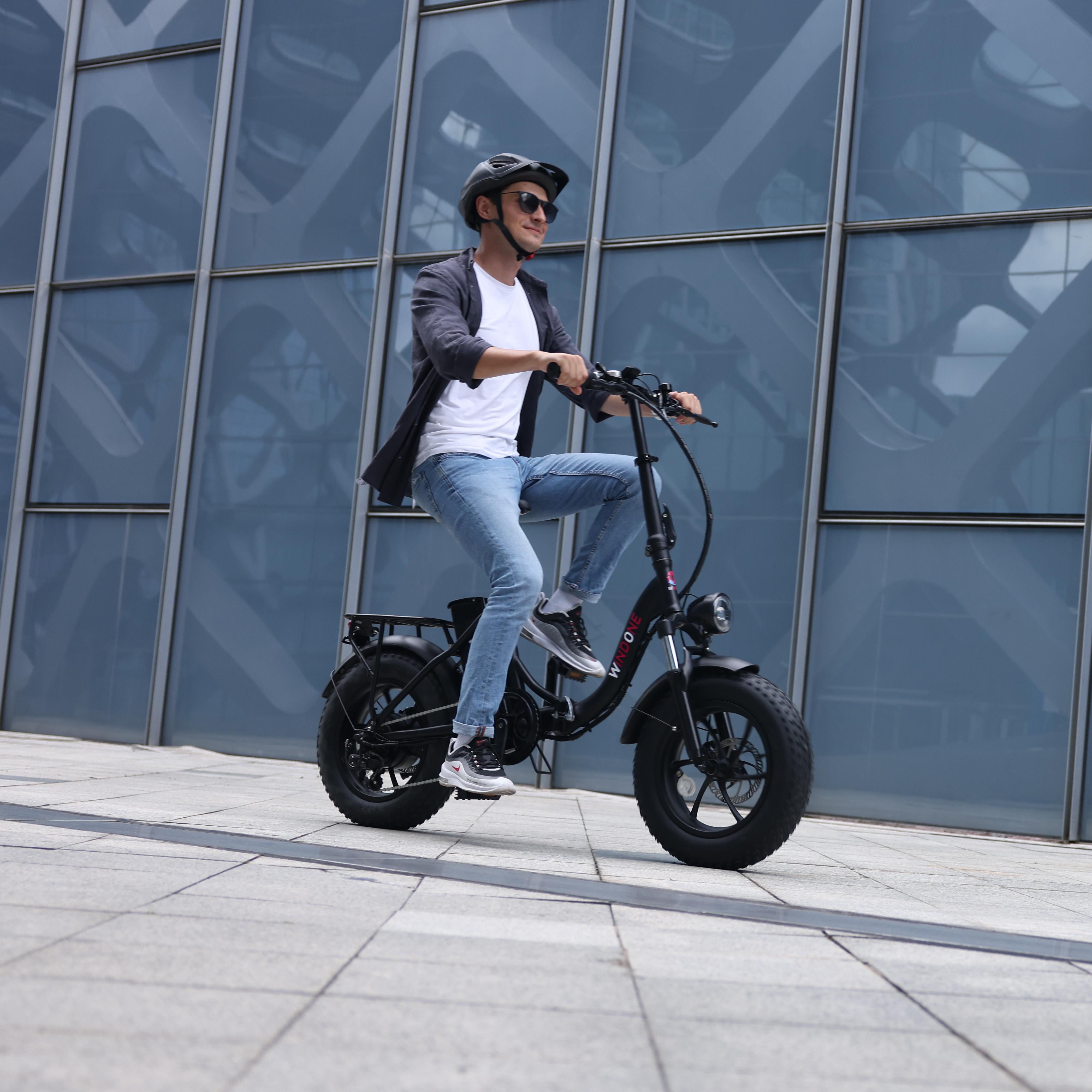 Windone S16 Fat Tire Folding City Rider
