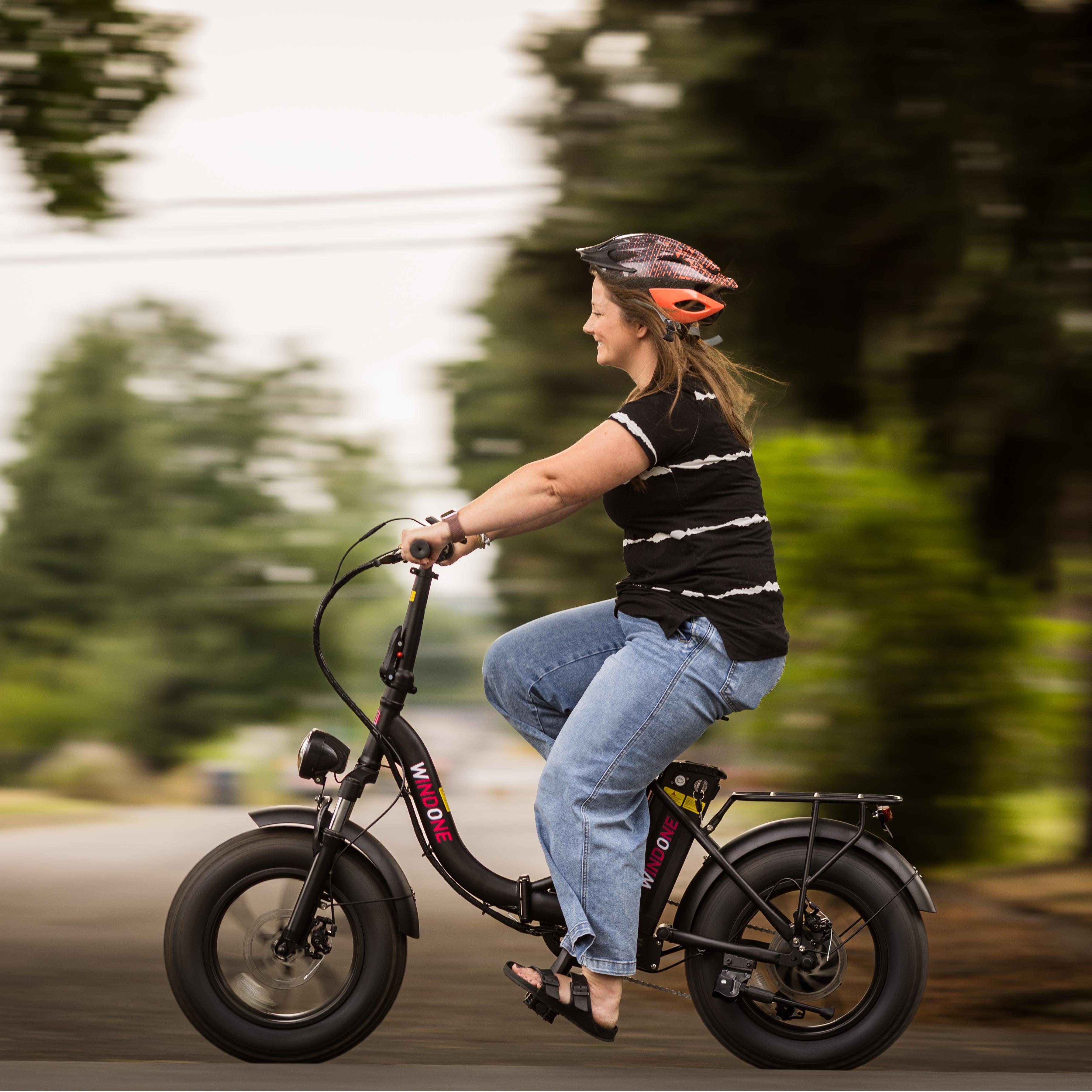 Windone S16 Fat Tire Folding City Rider