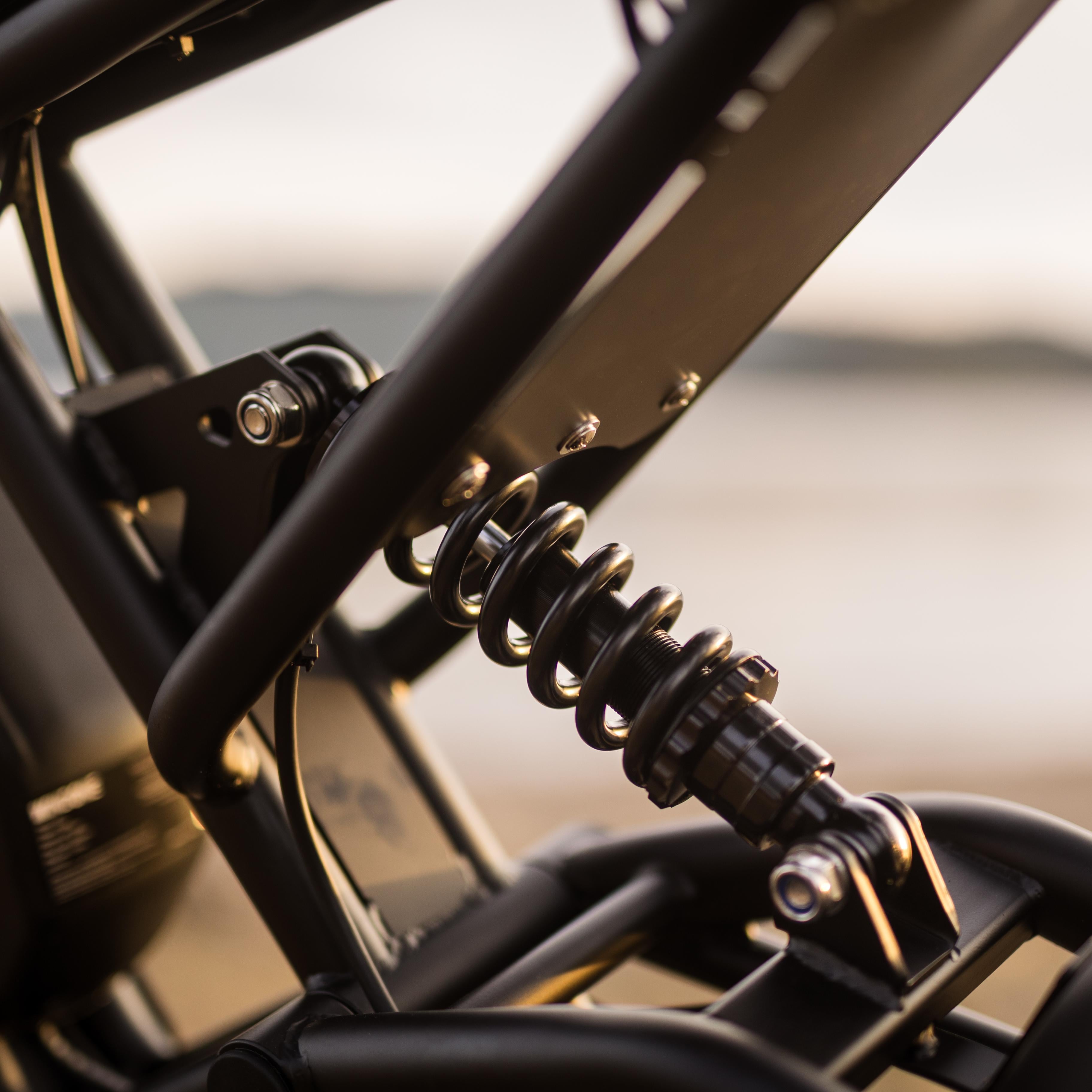 Windone E2 Fat Tire Off-Road Adventurer