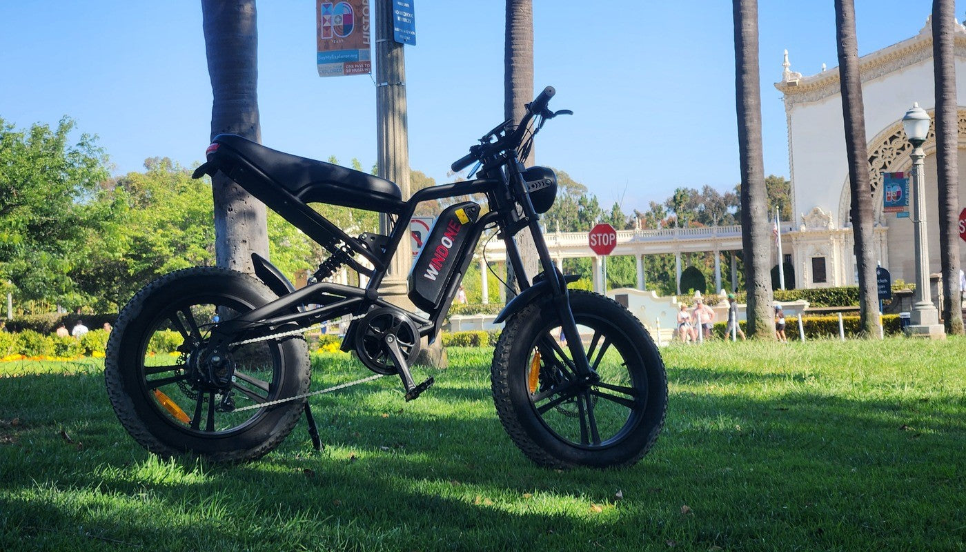 Fat Tire Ebike Guide: Pros, Cons, and Buying Tips
