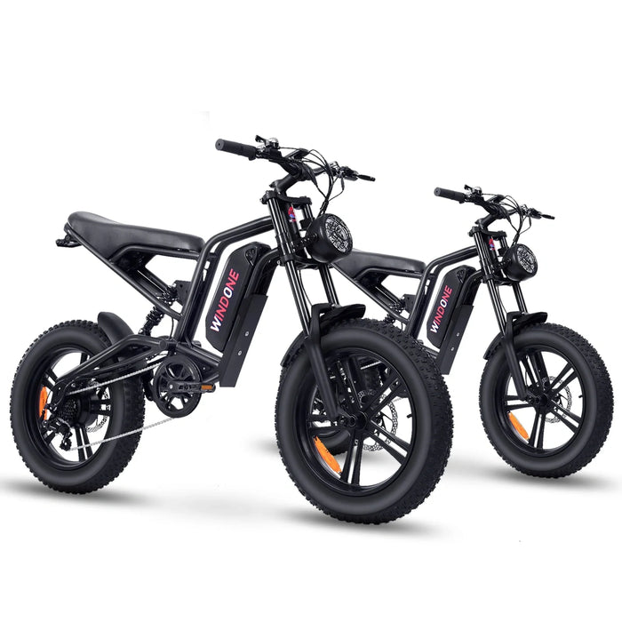 Windone E2 Fat Tire Off-Road Adventurer