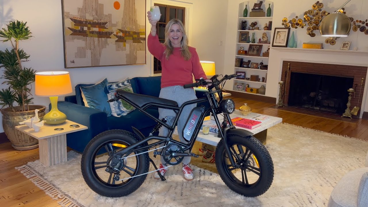 Anne Steeman Rooks Windone E2 Fat Tire Off Road Urban Commuter Electric Bike